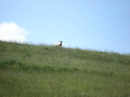 2006_0605_170440
