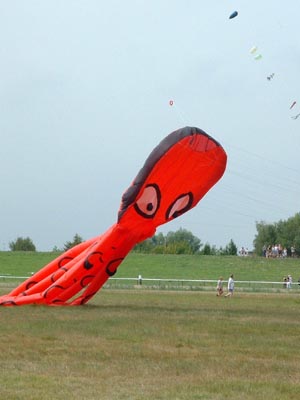2003_0802_120147AA