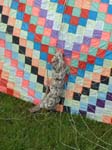 2003_0517_145840AA