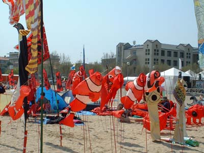 2004_0424_120636AA