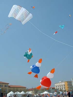 2004_0424_125615AA