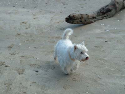2004_0425_093834AA