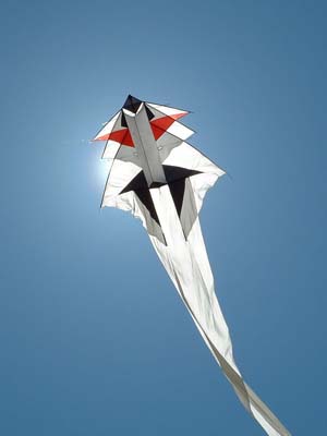 2004_0425_131910AA