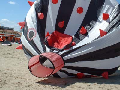 2004_0426_114318AA