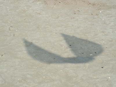 2004_0429_110618AA