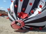 2004_0426_114318AA