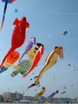 2004_0428_152103AA