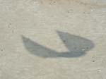 2004_0429_110618AA