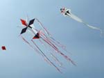 2004_0502_122902AA