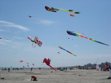2005_0423_124848