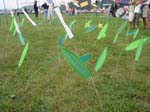 2005_0910_153725