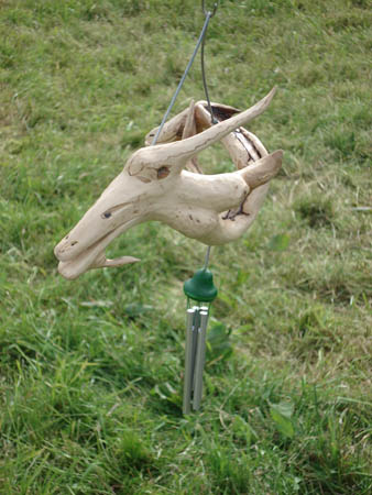 2006_0604_171158