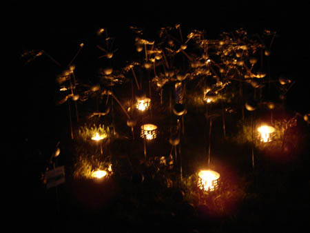 2006_0604_232235