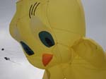 2006_0603_125411