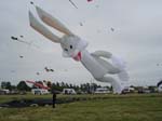 2006_0603_171218