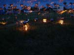 2006_0604_223326