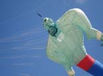 2006_0605_142119