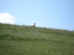 2006_0605_170440