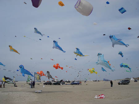 2006_0616_123934