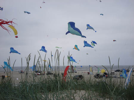 2006_0616_124601