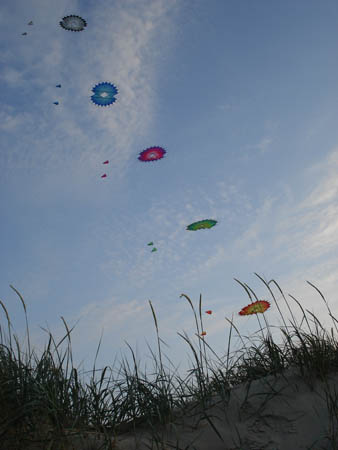 2006_0617_203637