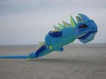 2006_0615_162822
