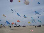 2006_0616_123934