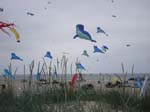 2006_0616_124601