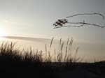 2006_0617_204833