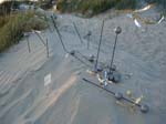 2006_0617_212612