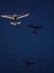 2006_0617_224726