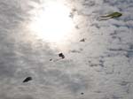 2006_0902_104646
