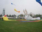 2006_0917_115252