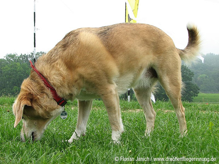 bild021