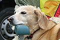 bild015