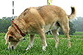 bild021