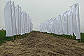 bild024