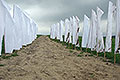 bild059