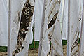 bild060
