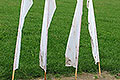 bild063