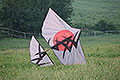bild077