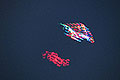 bild082