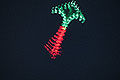 bild083