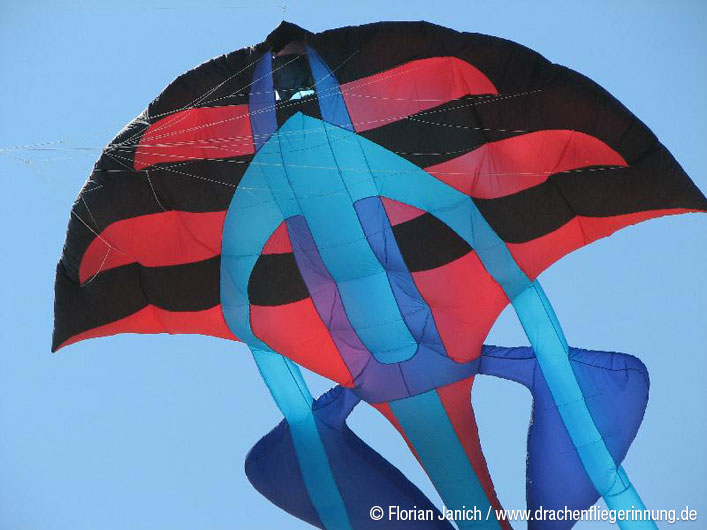 bild102