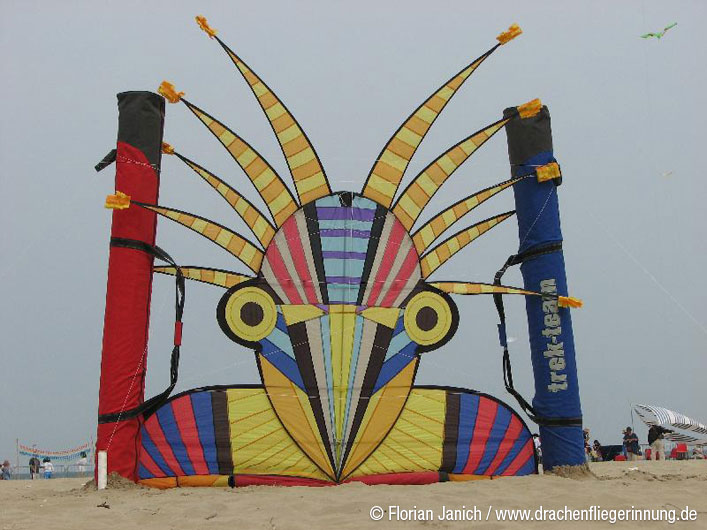 bild206