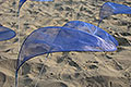bild017