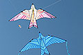 bild100