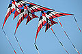 bild114