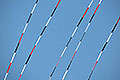 bild115