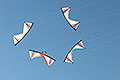 bild118